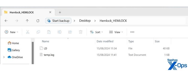 A file directory showing the LD and temp.log files from the Qilin infection, as described in text